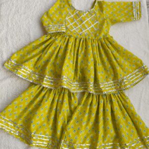 Bright Neon Colour Sharara Set / Perfect For Weddings , Feastive Ocassion